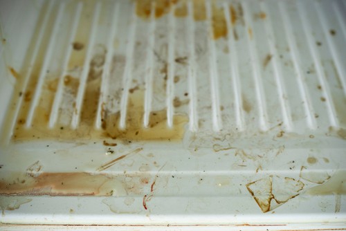 8 Tips for Deep Cleaning Your Refrigerator 